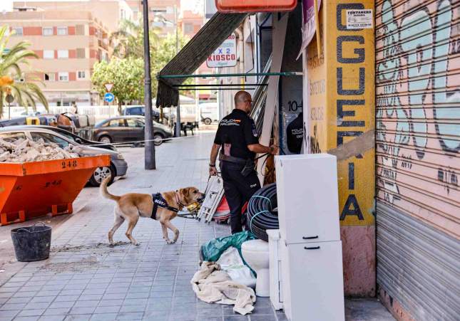 inspeccio cadaver local valencia biel aliño efe