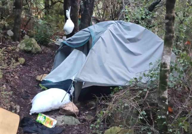 campamento plantacio marihuana praderas