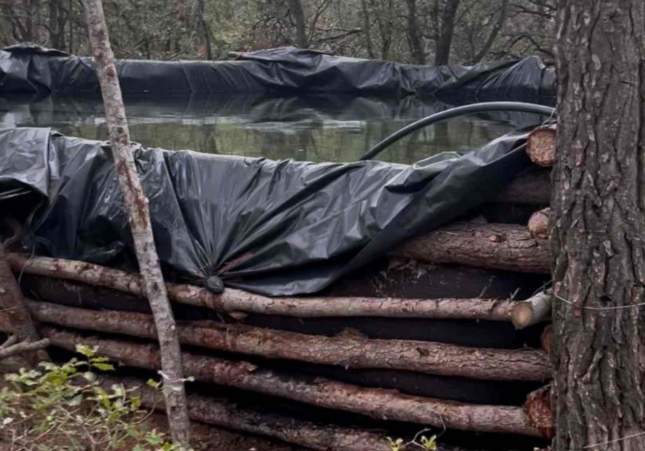 marihuana bosque chaparrales