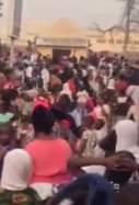 Estampida Nigeria Redes