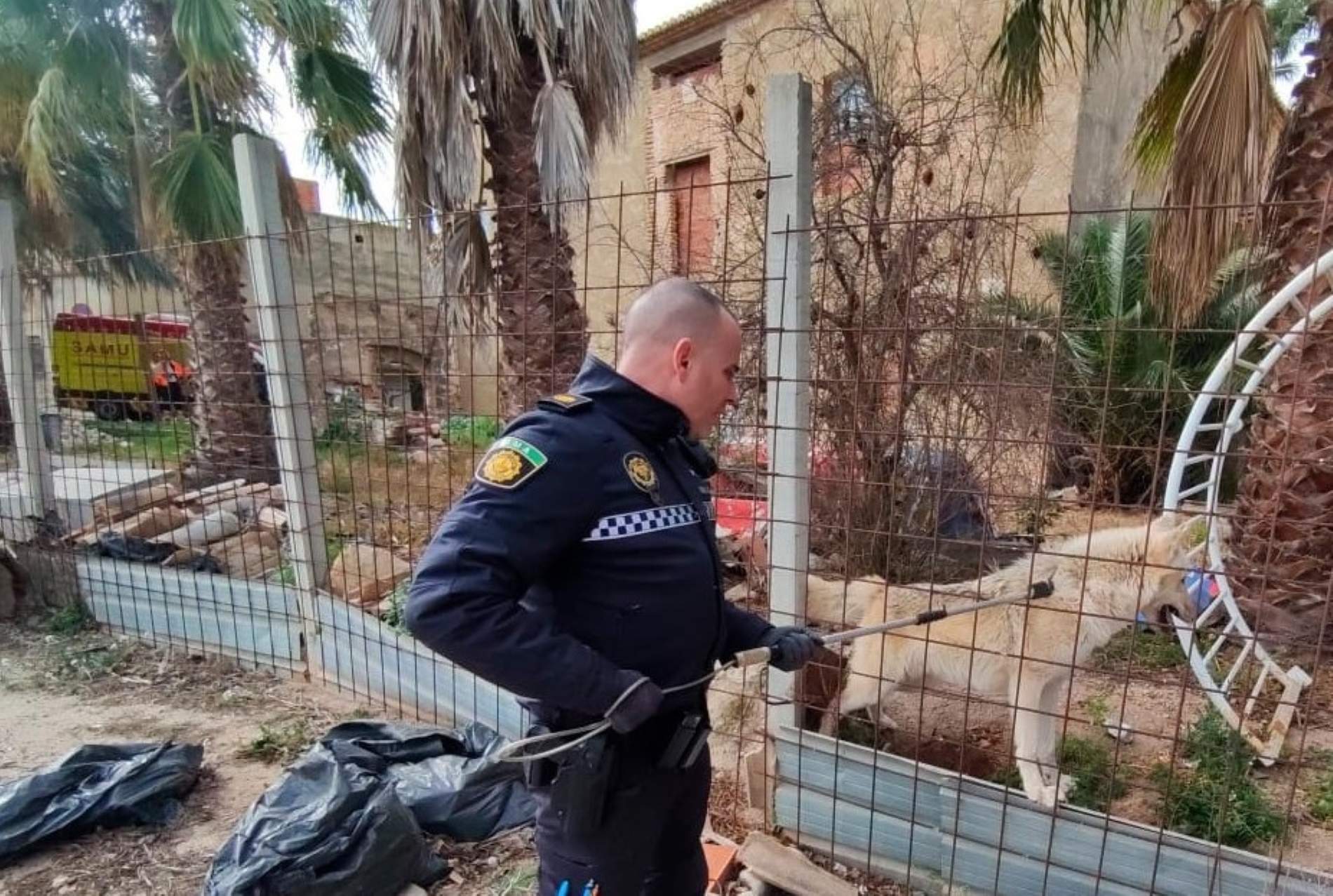 EuropaPress 6495122 perro lobo capturado policia local