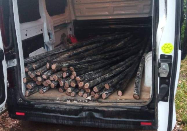 robatori cobre palafrugell