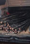 robatori cobre palafrugell