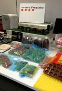 llaminadures marihuana
