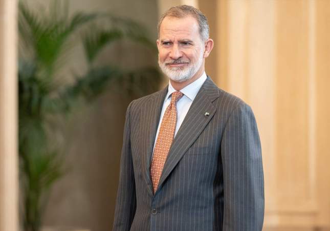 EuropaPress 6503707 rey felipe vi recibe audiencia personalidades patronos vinculados world