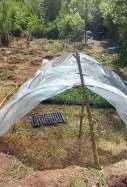 campament marihuana querol