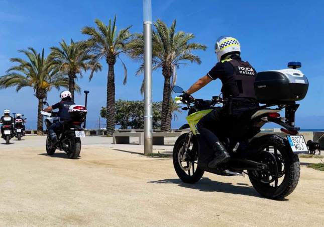 mataro zorras grs mataro zorras grs