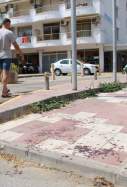 apunyalament cambrils