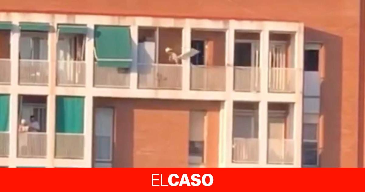 elcaso.elnacional.cat