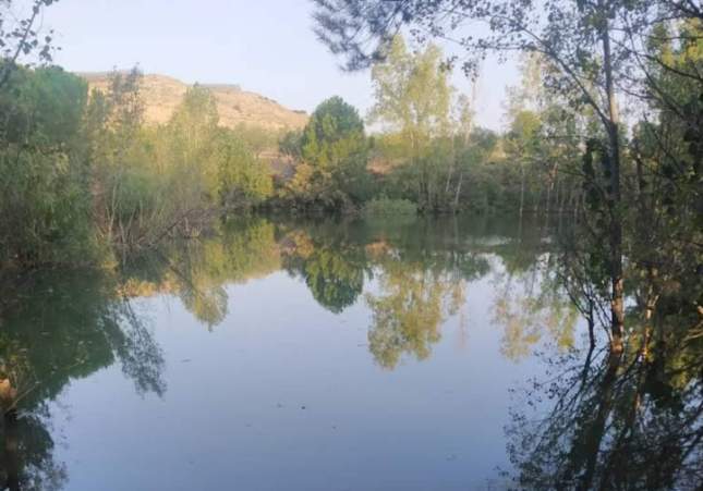 pantà alpicat