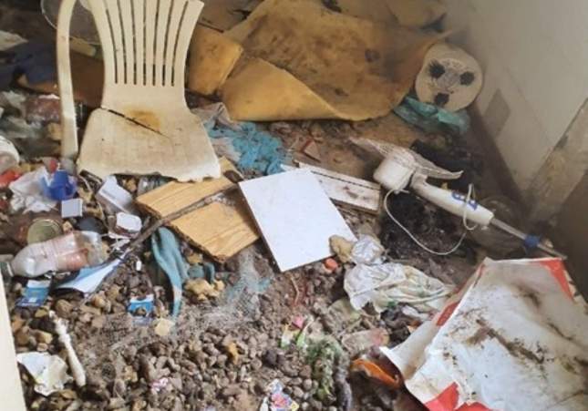 EuropaPress 6825105 seprona rescata perro abandonado casa deshabitada investiga persona delito