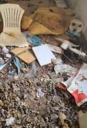 EuropaPress 6825105 seprona rescata perro abandonado casa deshabitada investiga persona delito