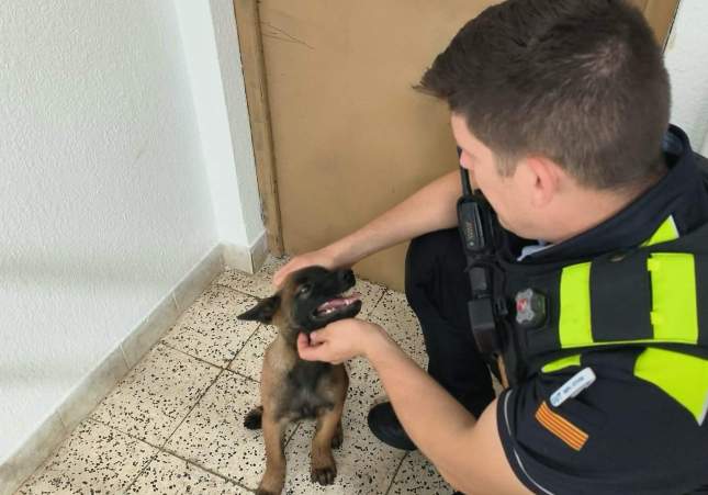 Foto agente guardia urbana perro rescatado tarragona Foto agente guardia urbana perro rescatado tarragona