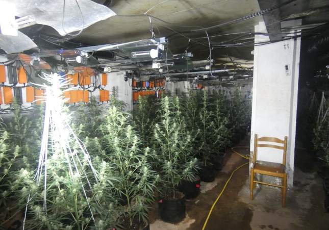 250703 NdP 1808 RPAP Els Mossos d’Esquadra desmantellen una plantació de marihuana en un antic prostíbul a l’Alt Urgell (3) 250703 NdP 1808 RPAP Els Mossos d’Esquadra desmantellen una plantació de marihuana en un antic prostíbul a l’Alt Urgell (3)