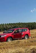 accident ala delta lleida