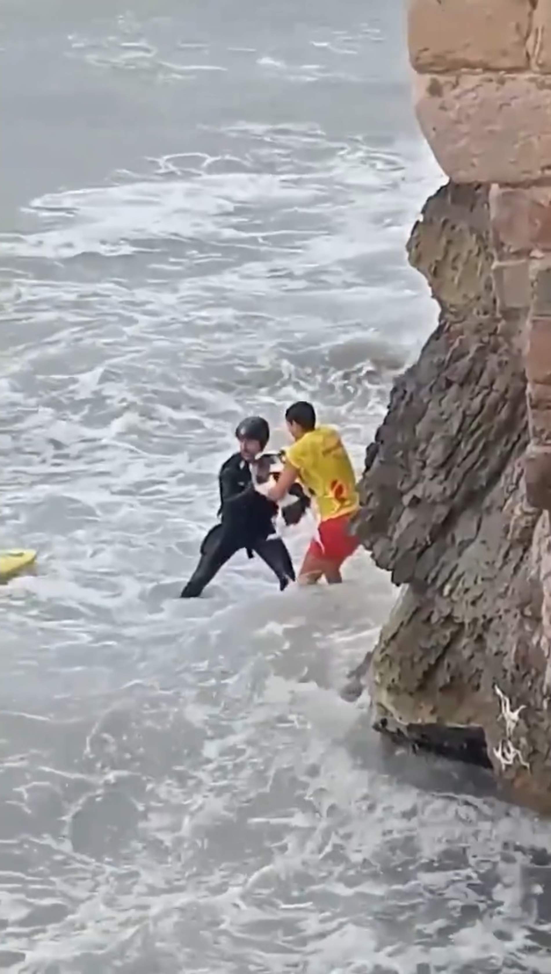 rescat gos sitges policia maritima