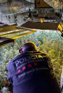 marihuana les garrigues (1)