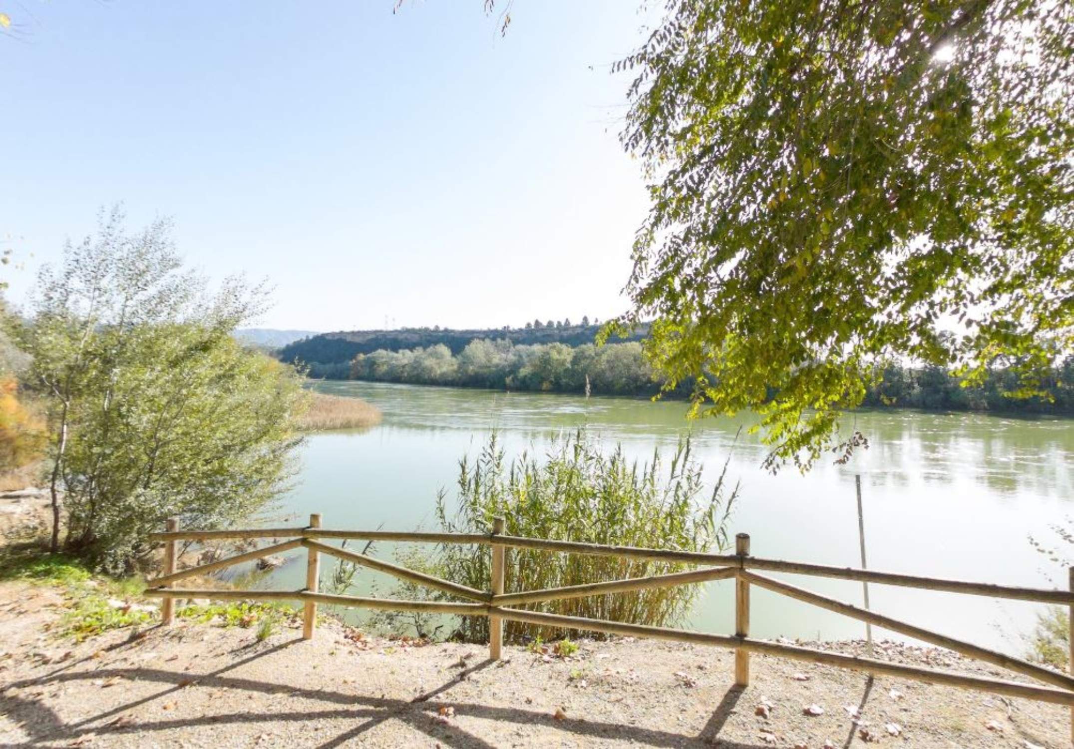 riu ebre xerta