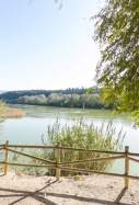 riu ebre xerta