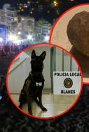 Eris - Guia Cani Policia Local Blanes