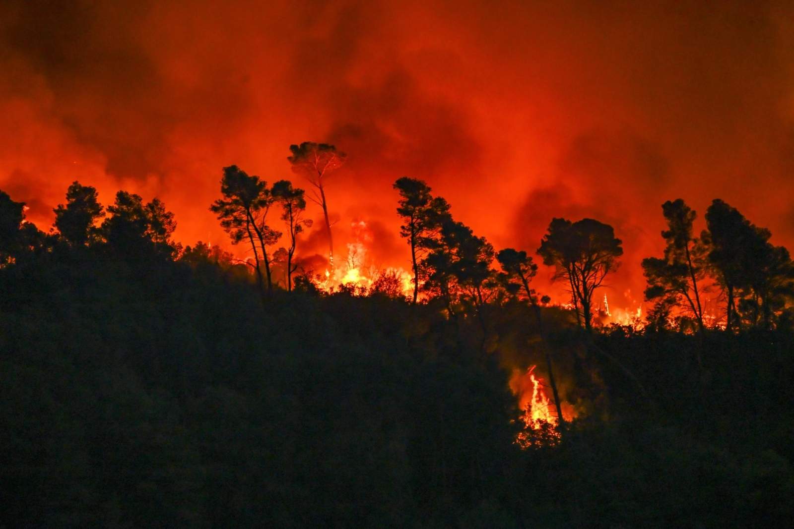 incendi forestal 