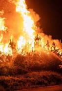 incendis a molts punts d espanya