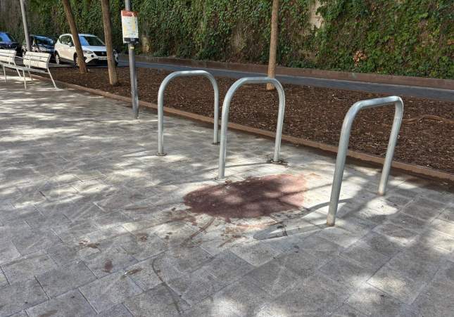 menor apunyalat barcelona (4)