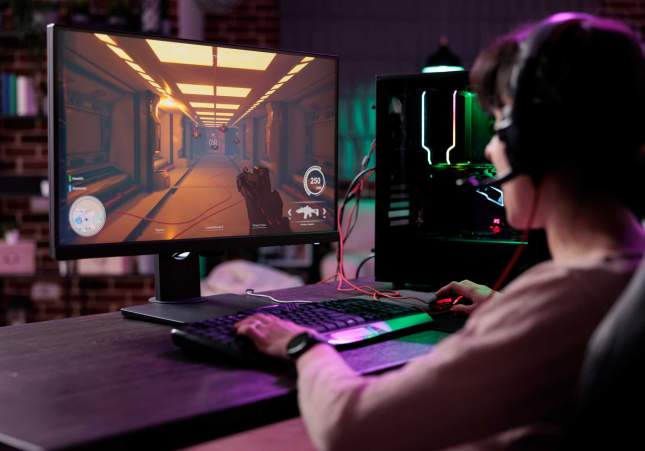 gamer