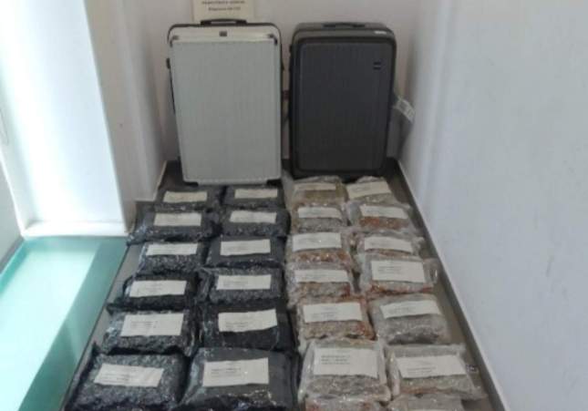 Imatge de la marihuana requisada a l'aeroport del Prat
