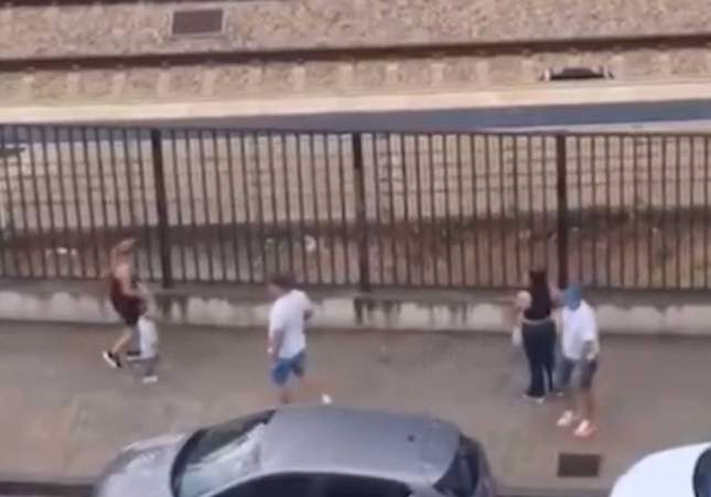 baralla tortosa
