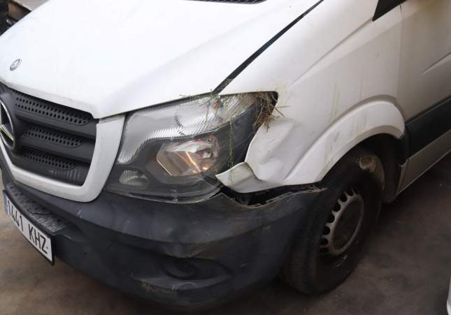 teloner atropellat teloner atropellat