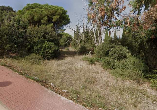bosc arenys de mar