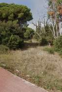 bosc arenys de mar