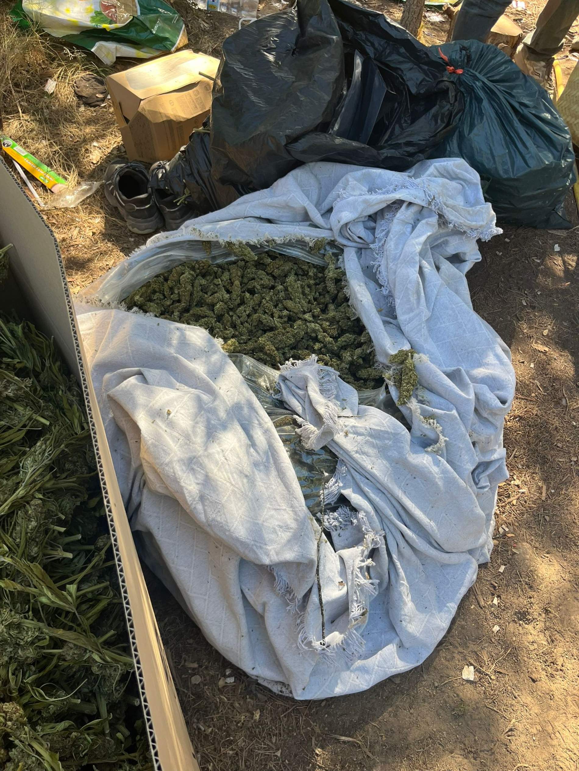 marihuana espai natural protegit
