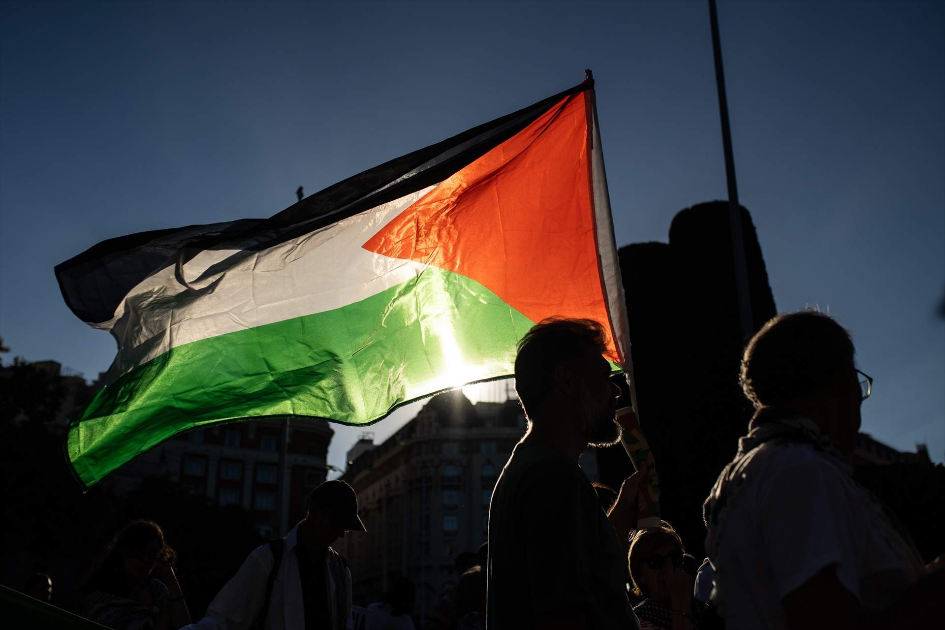 EuropaPress 7003495 grupo personas bandera palestina movilizacion lema alto genocidio contra