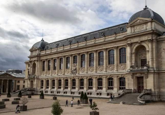 museu historia natural paris efe