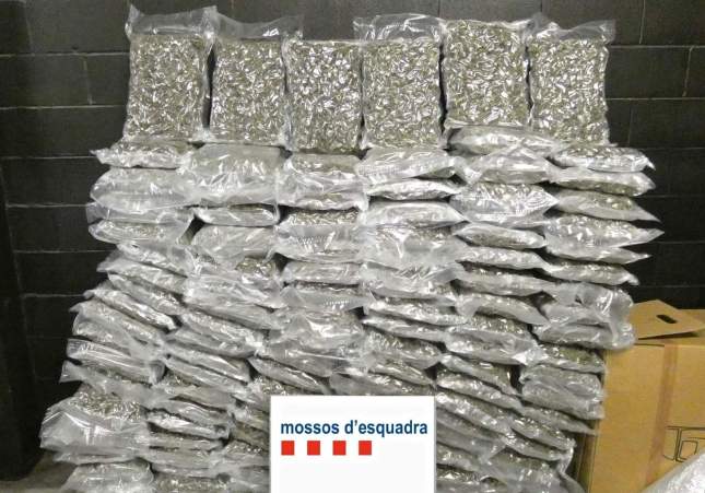 Marihuana requisada en Salou / Mossos d'Esquadra Marihuana requisada en Salou / Mossos d'Esquadra