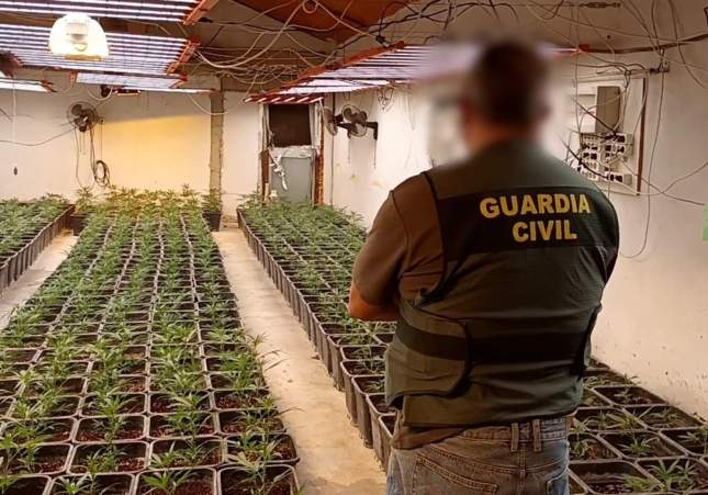 guardia civil plantació guardia civil plantació