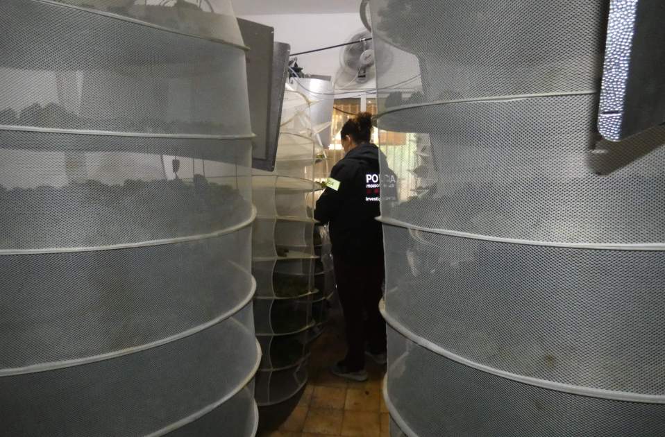 Foto 1 (3) Foto 1 (3)