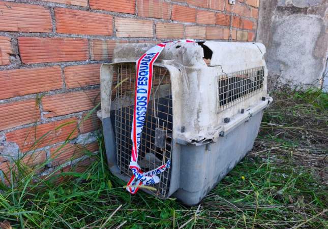 gossa morta sils gossa morta sils