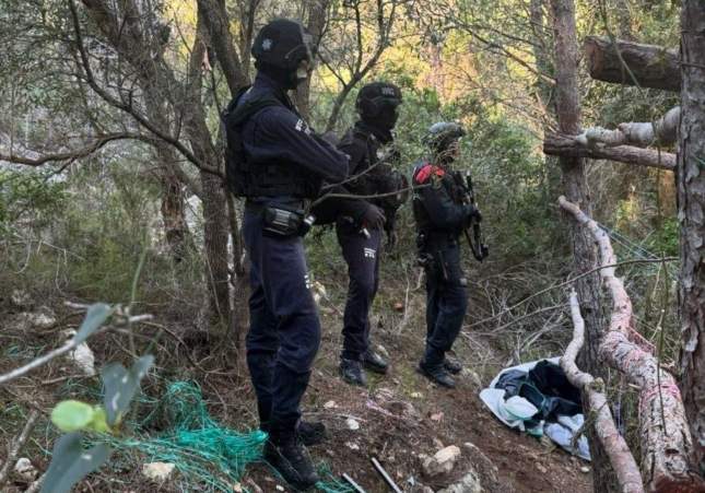 marihuana bosc conca barbera