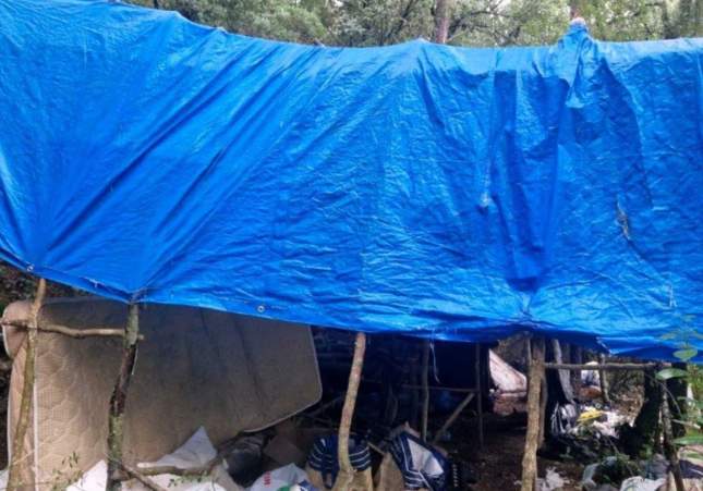 tenda marihuana bosc conca barbera