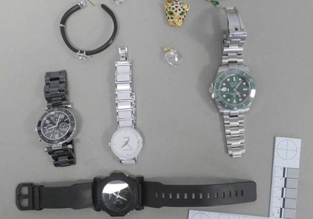 boti lladres llança