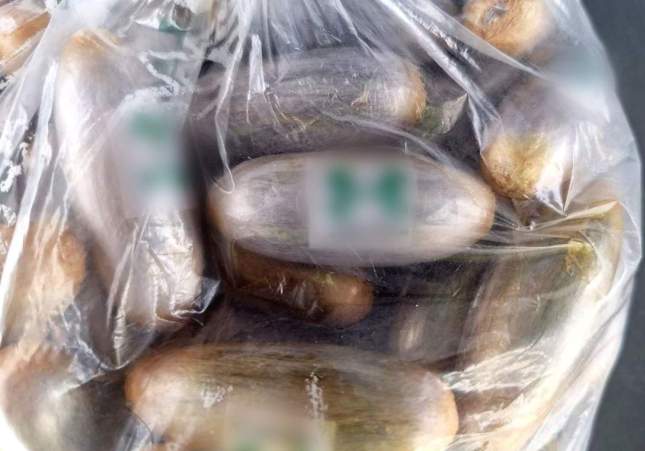 haixix àrea de servei mèdol