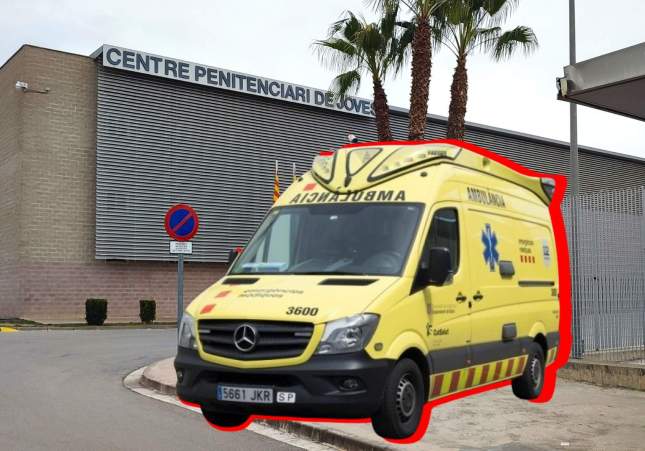 Còpia de Imatge peces Caso (13)