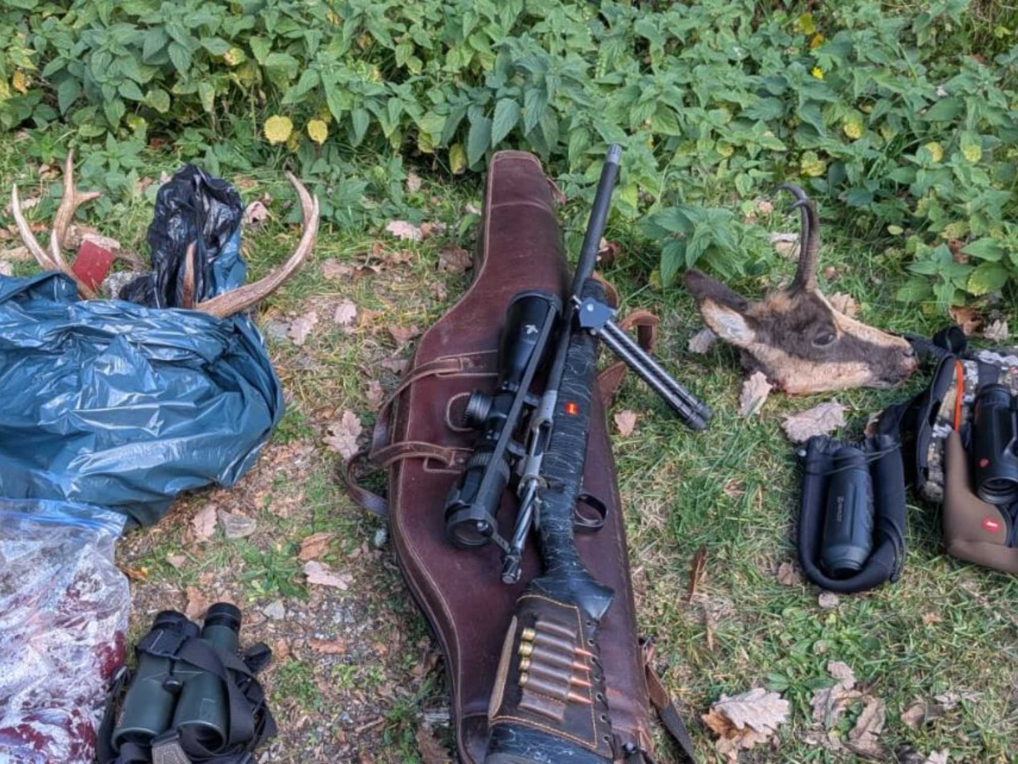 caça furtiva vall aran 2