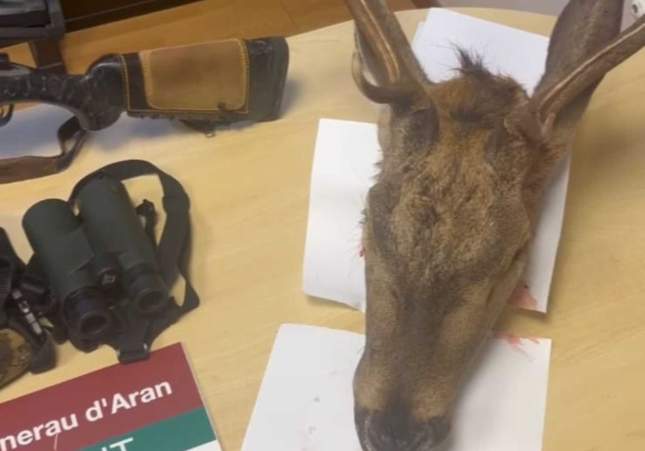 caça furtiva vall aran 4