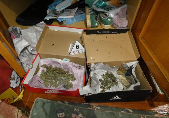 imatge de la marihuana en capses de sabates / Mossos d'Esquadra