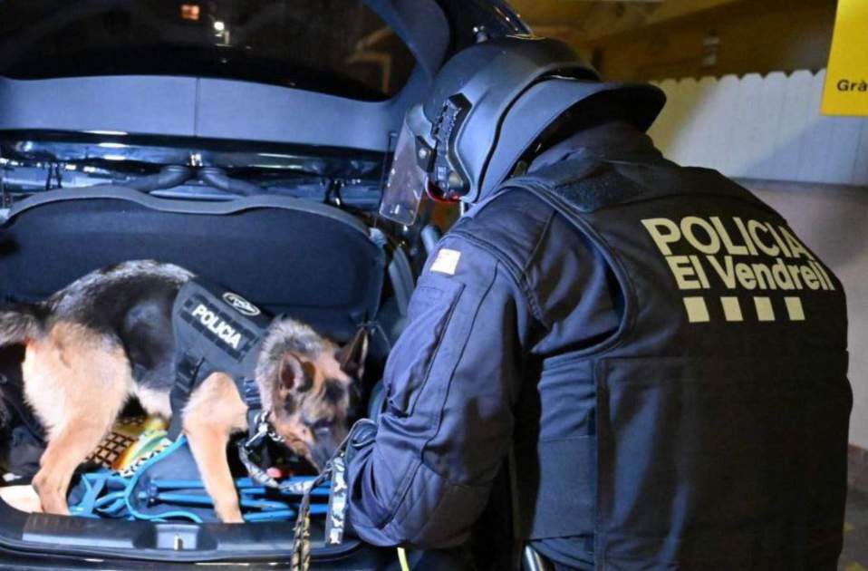 5837095344406203383 5837095344406203383