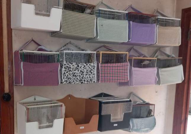 Gàbies dels ocells capturats il·legalment / Mossos d'Esquadra